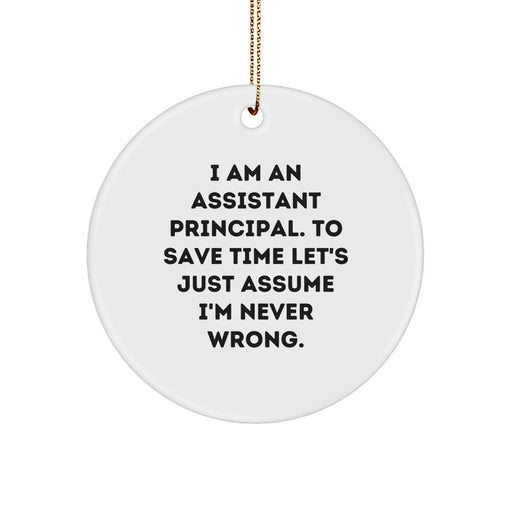 Funny Assistant Principal Gifts from Friends, Men, Women, Coworkers, Family for Assistant Principal Christmas Unique Gifts - Image 1