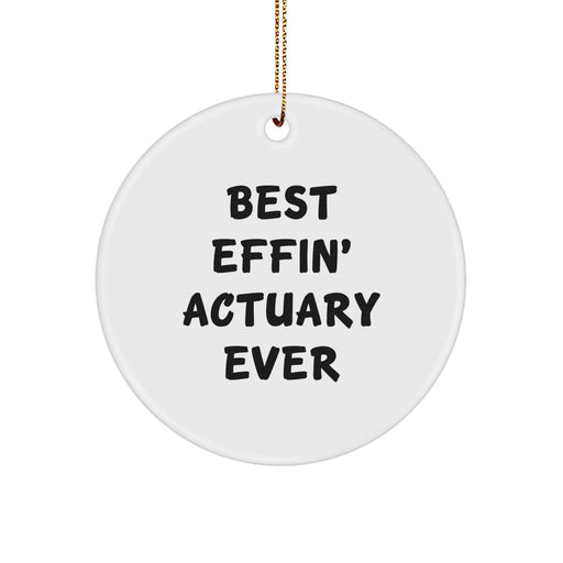 Funny Actuary Gifts from Friends for Actuary Men Unique Circle Ornament Best Effin' Actuary Ever Christmas - Image 1