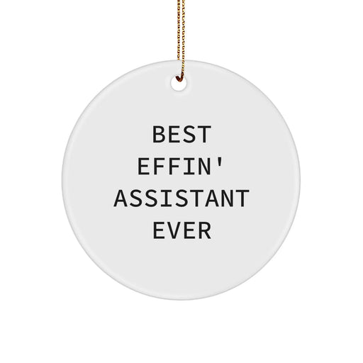 Funny Assistant Gifts from Friends for Christmas Unique Circle Ornament, Best Effin' Assistant Ever Quote, Circle Shaped Decorative - Image 1