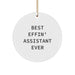 Funny Assistant Gifts from Friends for Christmas Unique Circle Ornament, Best Effin' Assistant Ever Quote, Circle Shaped Decorative - Image 1