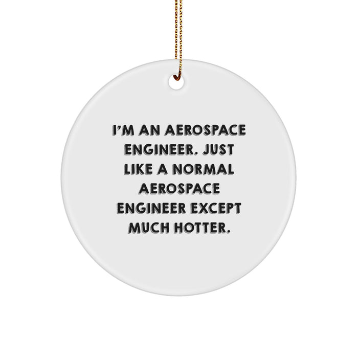 Aerospace Engineer Christmas Unique Gifts for Him Funny Circle Ornament from Friends, Unique Christmas Memorable Presents for Men, Women, Coworkers - Image 1