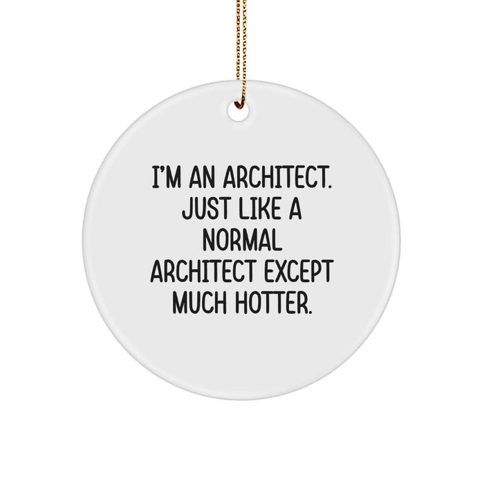 Funny Architect Gifts for Men, Christmas Unique Circle Ornament from Friends, Coworkers, Family - 'I'm An Architect' Decorative - Image 1