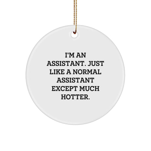 Funny Assistant Gifts for Men, Women, Coworkers, Friends - I'm An Assistant Circle Ornament, Christmas Unique - Image 1