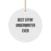 Funny Underwriter Gifts, Best Effin' Underwriter Ever Christmas Circle Ornament, Unique Underwriter Underwriter Friend Gifts - Image 1