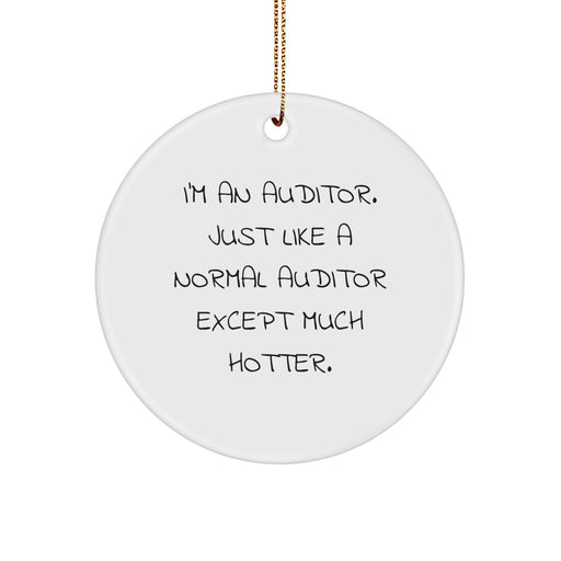 Auditor Gifts, Funny Quote Circle Ornament, Gifts from Men to Auditor Friends, Auditor Christmas Ornament - Image 1