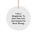 Funny Magistrate Circle Ornament Gifts from Friends for Christmas, Unique Magistrate Gifts for Men, I Am A Magistrate Circle Ornament, Gifts for Magistrate - Image 1
