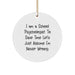 Funny School Psychologist Gifts for Women, Circle Ornament with 'I Am Never Wrong' Quote, Gifts from Friends and Family this Christmas - Image 1