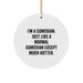 Funny Comedian Gifts from Friends and Family for Men and Women - Comedian Circle Ornament, 'I'm A Comedian. Just Like A Normal...' - Image 1