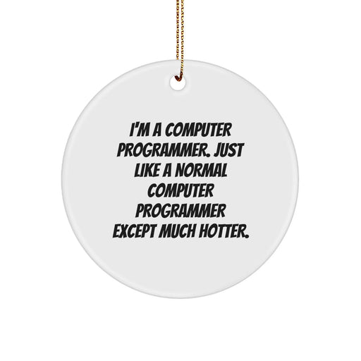 Computer Programmer Gifts from Friends, Funny Quotes Circle Ornament for Him, Her, Coworkers, Family, Unique Christmas Unique Gifts - Image 1