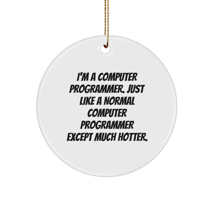 Computer Programmer Gifts from Friends, Funny Quotes Circle Ornament for Him, Her, Coworkers, Family, Unique Christmas Unique Gifts - Image 1