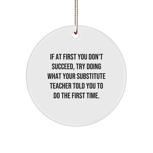 Funny Substitute Teacher Gifts from Family - Circle Ornament for Substitute Teacher Christmas Unique Gifts - Image 1