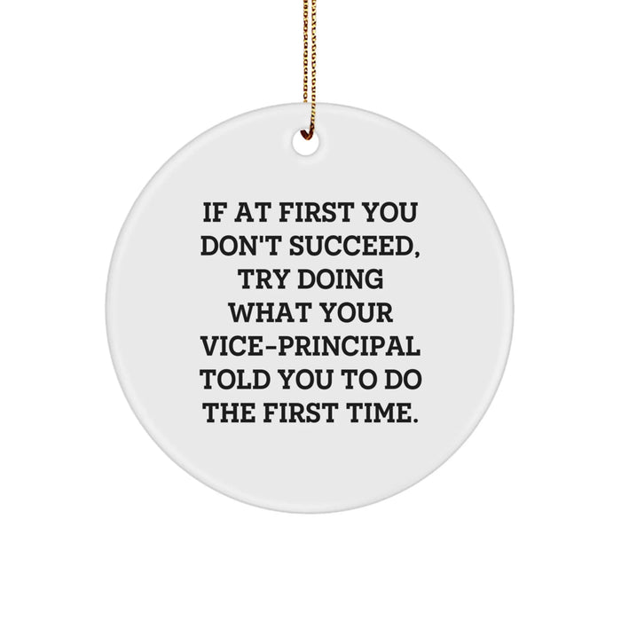 Funny Vice-principal Gifts from Friends Christmas Circle Ornament If At First You Don't Succeed Try Doing What Your Vice-principal Told You To Do The First Time Vice-principal Decorations - Image 1
