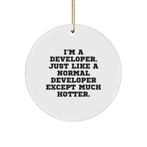 Developer Gifts from Friends - I'm A Developer. Just Like A Normal Developer Except Much Hotter. - Christmas Circle Ornament for Men, Women, Family, Coworkers - Image 1