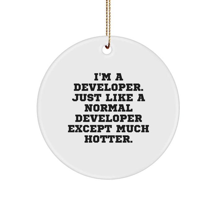Developer Gifts from Friends - I'm A Developer. Just Like A Normal Developer Except Much Hotter. - Christmas Circle Ornament for Men, Women, Family, Coworkers - Image 1