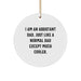 Assistant Dad Gifts, Funny Quote Circle Ornaments for Men, Unique Christmas Unique Gifts from Dad to Assistant - Image 1