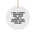 Court Reporter Dad Gifts from Family - Funny Circle Ornament for Men, Unique Christmas Unique Gifts for Court Reporter, Personalized Circle Ornament - Image 1