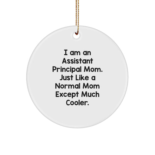 Funny Assistant Principal Gifts from Mom, Assistant Principal Mom Circle Ornament, Christmas Unique Gifts for Assistant Principals - Image 1