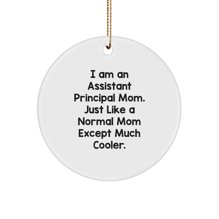 Funny Assistant Principal Gifts from Mom, Assistant Principal Mom Circle Ornament, Christmas Unique Gifts for Assistant Principals - Image 1