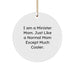 Funny Minister Gifts for Women - I Am A Minister Mom Circle Ornament, Unique Christmas Decorations for Minister Friends and Family - Image 1