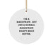 Magistrate Gifts from Friends - Funny Circle Ornament for Christmas with Quote 'I'm A Magistrate. Just Like A Normal Magistrate Except Much Hotter.' for Men and Women - Image 1