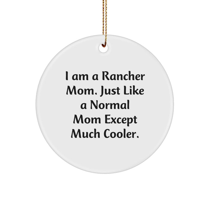 Rancher Mom Gifts for Christmas Unique Circle Ornaments from Family for Friends - Image 1