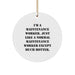 Funny Maintenance Worker Gifts from Friends - I'm A Maintenance Worker. Just Like A Normal Maintenance Worker Except Much Hotter. Circle Ornament for Christmas - Image 1