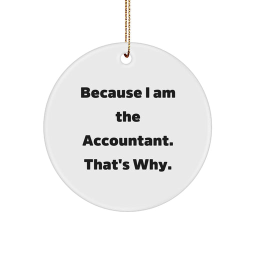 Funny Accountant Gifts from Friends, Unique Circle Ornament for Accountant, Because I Am The Accountant That's Why Christmas Decoration - Image 1