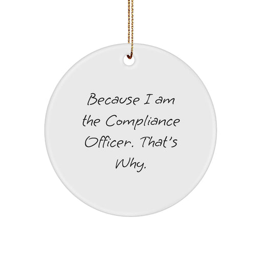 Funny Compliance Officer Circle Ornament Gifts from Friends for Men - Image 1