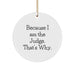 Funny Judge Gifts for Men, because 'Because I Am The Judge. That's Why.' Christmas Unique Ornament - Image 1