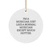 Funny Musician Gifts, Musician Ornament, Circle Decoration, I'm A Musician, Gifts from Friends, Gifts for Musician, Christmas Unique Gifts - Image 1