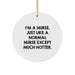 Funny Nurse Gifts for Nurse Friends - I'm A Nurse. Just Like A Normal Nurse Except Much Hotter. Circle Ornament, Christmas Unique Gifts from Family - Image 1