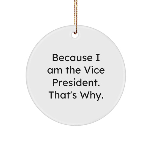 Funny Vice President Gifts for Men, Women, Friends, Coworkers, Family - Christmas Unique Circle Ornament Because I Am The Vice President That's Why - Image 1