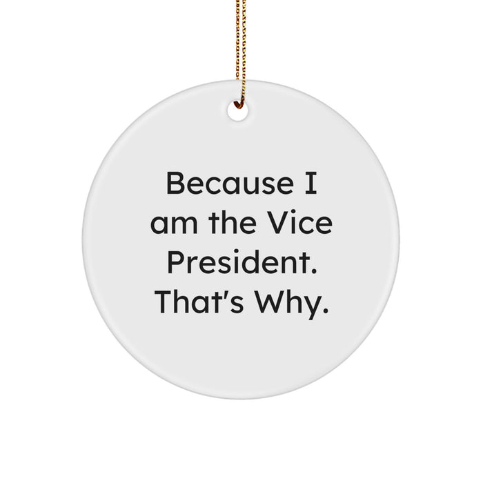 Funny Vice President Gifts for Men, Women, Friends, Coworkers, Family - Christmas Unique Circle Ornament Because I Am The Vice President That's Why - Image 1
