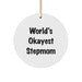 Funny Quote Stepmom Gifts for Christmas Circle Ornament, World's Okayest Stepmom, Gifts from Friends, Family, and Coworkers - Image 1