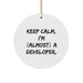 Funny Developer Gifts for Men, Keep Calm I'm (almost) A Developer, Christmas Unique Ornaments Circle Shape - Image 1