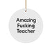 Funny Teacher Circle Ornament, Inspirational Quote Gifts for Teachers from Friends, Unique Christmas Teacher Decorations, White Circle Shaped MDF with Sublimation Finish - Image 1