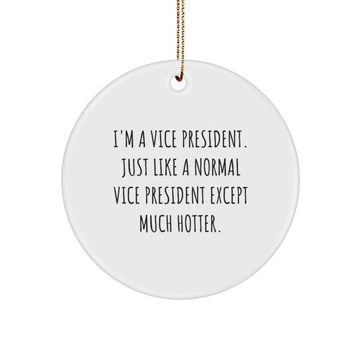Vice President Gifts from Friends - Funny Circle Ornament with Quote 'I'm A Vice President...' - Unique Christmas Unique Gifts for Men - Image 1