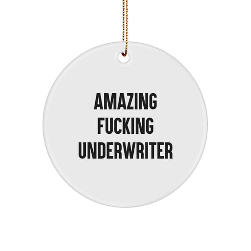 Funny Underwriter Gifts from Men to Friends - Circle Ornament with 'Amazing F--king Underwriter' Quote - Christmas Unique Ornaments for Underwriter Enthusiasts - Image 1