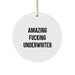 Funny Underwriter Gifts from Men to Friends - Circle Ornament with 'Amazing F--king Underwriter' Quote - Christmas Unique Ornaments for Underwriter Enthusiasts - Image 1