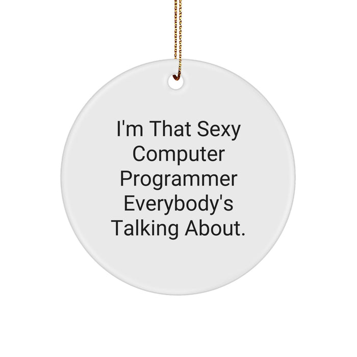 Funny Computer Programmer Gifts, Unique Circle Ornament for Him, I'm That Sexy Computer Programmer Everybody's Talking About Christmas Decoration - Image 1