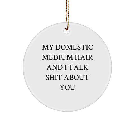 Funny Domestic Medium Hair Cat Gifts from Friends for Christmas Circle Ornament - 'My Domestic Medium Hair And I Talk Shit About You' - Image 1