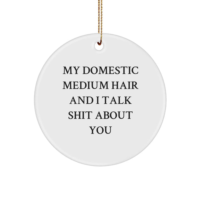 Funny Domestic Medium Hair Cat Gifts from Friends for Christmas Circle Ornament - 'My Domestic Medium Hair And I Talk Shit About You' - Image 1