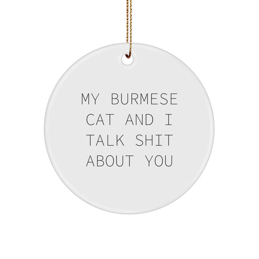 Funny Burmese Cat Gifts for Men from Women, Burmese Cat Circle Ornament with My Burmese Cat And I Talk Shit About You Quote, Christmas Unique Gifts for Friends - Image 1