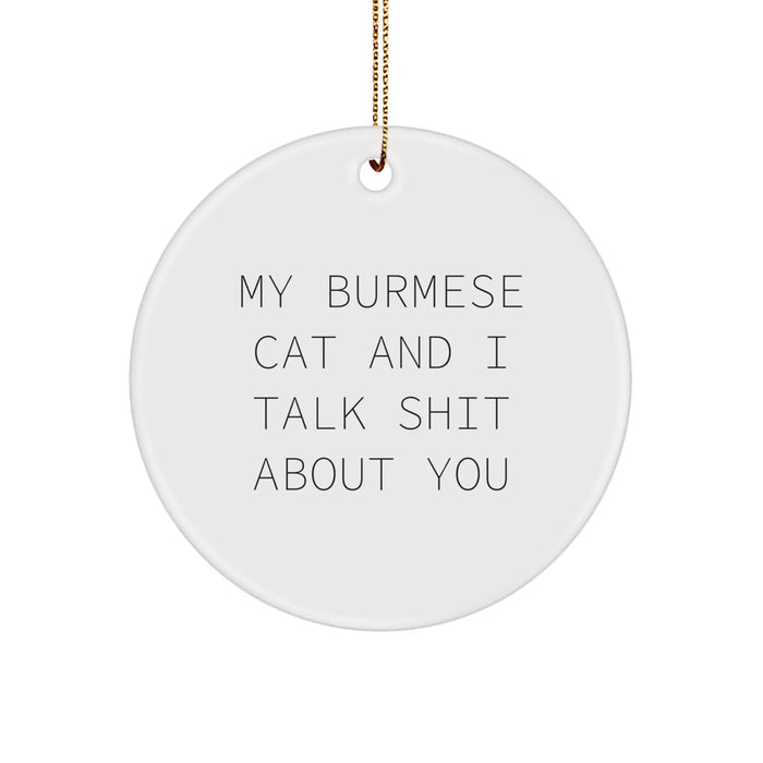 Funny Burmese Cat Gifts for Men from Women, Burmese Cat Circle Ornament with My Burmese Cat And I Talk Shit About You Quote, Christmas Unique Gifts for Friends - Image 1