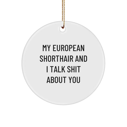 European Shorthair Cat Gifts, Funny Quote Circle Ornament, Gifts from Friends for Men, Unique Christmas Decorations - Image 1