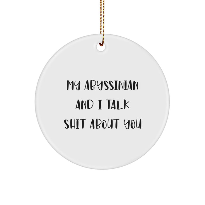 Abyssinian Cat Gifts from Friends for Christmas - Funny Circle Ornament with Quote - Image 1