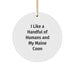 Funny Maine Coon Cat Gifts for Christmas - Circle Ornament, I Like A Handful Of Humans And My Maine Coon - Gifts from Friends, Family - Image 1