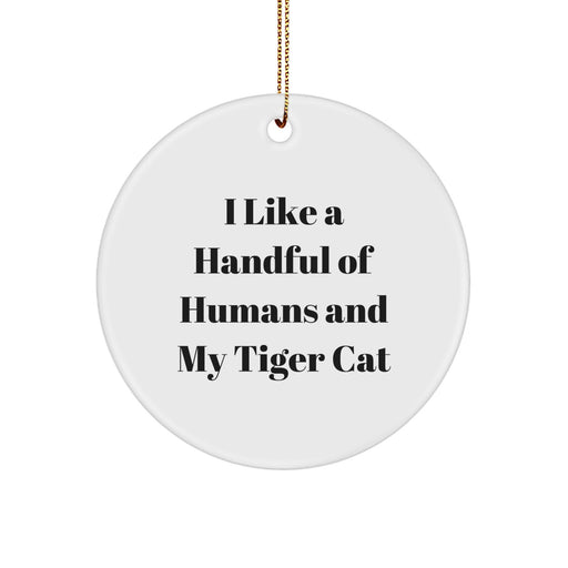Funny Tiger Cat Circle Ornament Gifts for Men Women Friends Family from Loved Ones this Christmas - Image 1