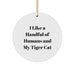 Funny Tiger Cat Circle Ornament Gifts for Men Women Friends Family from Loved Ones this Christmas - Image 1