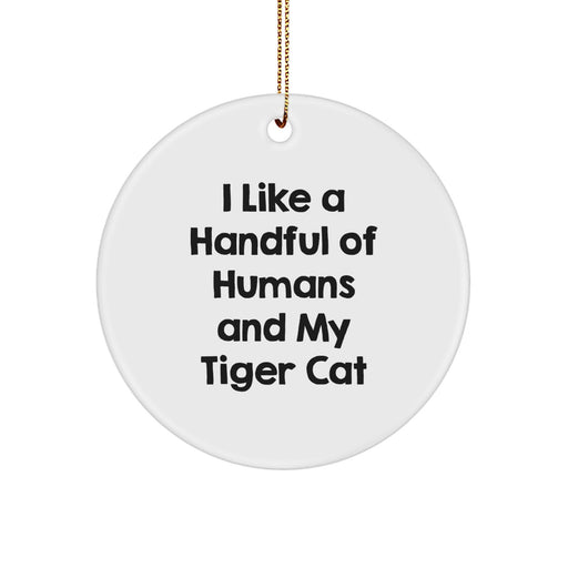 Funny Tiger Cat Love Gifts from Friends, Circle Ornament for Tiger Cat Lovers, Christmas Unique Decoration Gifts for Men Women Family - Image 1